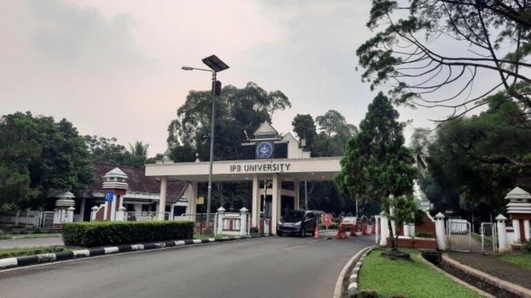 Syarat Pendaftaran Ujian Mandiri IPB: Apa yang Harus Anda Tahu Sebelum Mendaftar?