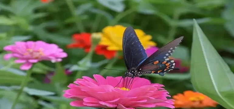 Godaan Perempuan Sangat Berbahaya Bagi Para Lelaki