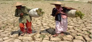 Perempuan Pencari Nafkah di Akhir Zaman