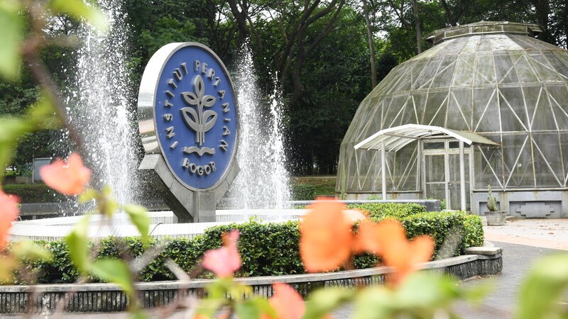 Mengenal Proses Hasil Seleksi IPB: Dari Pendaftaran Hingga Pengumuman