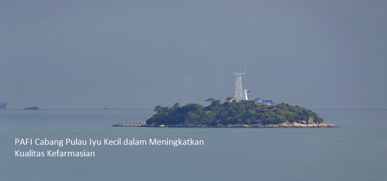 PAFI Cabang Pulau Iyu Kecil dalam Meningkatkan Kualitas Kefarmasian