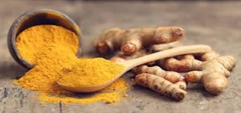 Temulawak dan Jahe Belum Teruji Dapat Obati Virus Corona