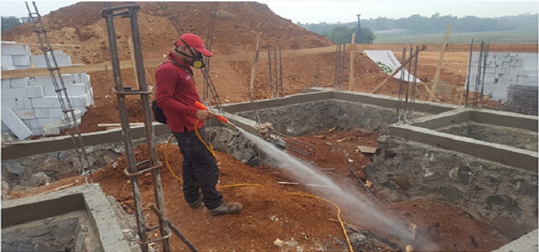 Basmi Habitat Rayap yang Merusak Rumah dengan Cara Berikut