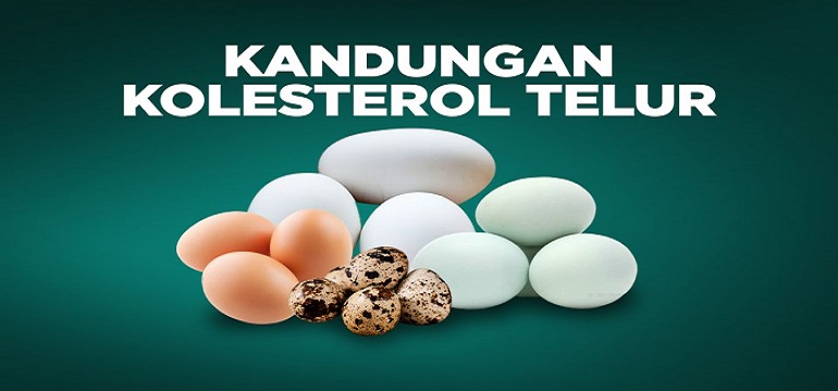 Telor Mana yang Paling Tinggi Kolesterolnya, Simak Disini Yuk
