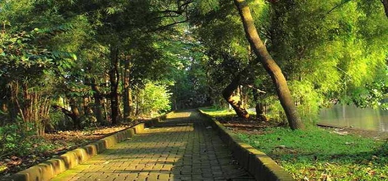 Tempat Wisata Tema Pepohonan di Jakarta