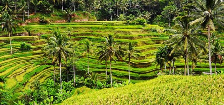 Bali, Salah Satu Keajaiban Alam di Dunia