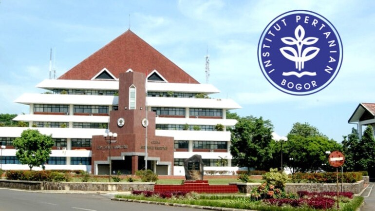 Update Terbaru Passing Grade SNBT IPB dan Proses Pendaftaran