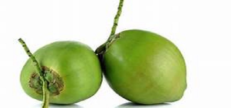 Adakah Makanan Favorit Anda dari 3 Sajian Kelapa Ini?