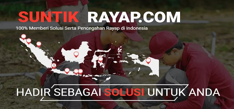 Jasa Anti Rayap Profesional untuk Perlindungan Bangunan Jangka Panjang
